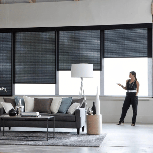 Motorized Blinds